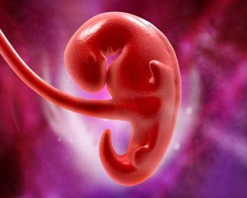广州传承助孕中心收费[最好的供卵医院],美国试管婴儿移植正常的胚胎为什么还