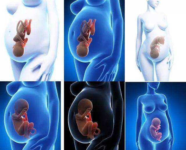 南宁三代试管费用指南：助您了解详细花费