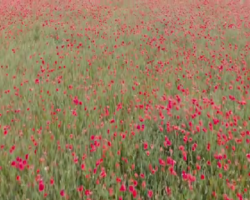 1岁前育儿小贴士：了解初孕腹痛及助孕信息