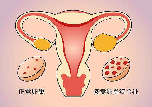 武汉供卵 武汉同济医院的生殖医学中心 ‘孕男宝宝特征’